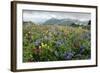 Wildflower Meadow-Bob Gibbons-Framed Premium Photographic Print