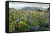 Wildflower Meadow-Bob Gibbons-Framed Stretched Canvas