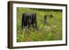 Wildflower Meadow-Bob Gibbons-Framed Photographic Print