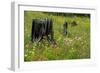 Wildflower Meadow-Bob Gibbons-Framed Photographic Print