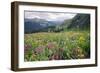 Wildflower Meadow-Bob Gibbons-Framed Photographic Print