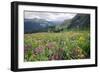 Wildflower Meadow-Bob Gibbons-Framed Photographic Print