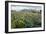 Wildflower Meadow-Bob Gibbons-Framed Photographic Print