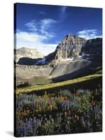 Wildflower meadows below Mt. Timpanogos, Uinta-Wasatch-Cache National Forest, Utah, USA-Charles Gurche-Stretched Canvas