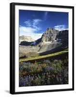 Wildflower meadows below Mt. Timpanogos, Uinta-Wasatch-Cache National Forest, Utah, USA-Charles Gurche-Framed Premium Photographic Print