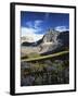 Wildflower meadows below Mt. Timpanogos, Uinta-Wasatch-Cache National Forest, Utah, USA-Charles Gurche-Framed Premium Photographic Print