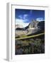 Wildflower meadows below Mt. Timpanogos, Uinta-Wasatch-Cache National Forest, Utah, USA-Charles Gurche-Framed Photographic Print