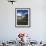 Wildflower meadows below Mt. Timpanogos, Uinta-Wasatch-Cache National Forest, Utah, USA-Charles Gurche-Framed Photographic Print displayed on a wall