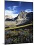 Wildflower meadows below Mt. Timpanogos, Uinta-Wasatch-Cache National Forest, Utah, USA-Charles Gurche-Mounted Photographic Print