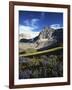 Wildflower meadows below Mt. Timpanogos, Uinta-Wasatch-Cache National Forest, Utah, USA-Charles Gurche-Framed Photographic Print