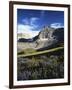 Wildflower meadows below Mt. Timpanogos, Uinta-Wasatch-Cache National Forest, Utah, USA-Charles Gurche-Framed Photographic Print