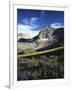 Wildflower meadows below Mt. Timpanogos, Uinta-Wasatch-Cache National Forest, Utah, USA-Charles Gurche-Framed Photographic Print