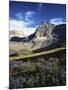 Wildflower meadows below Mt. Timpanogos, Uinta-Wasatch-Cache National Forest, Utah, USA-Charles Gurche-Mounted Photographic Print