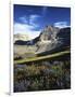 Wildflower meadows below Mt. Timpanogos, Uinta-Wasatch-Cache National Forest, Utah, USA-Charles Gurche-Framed Photographic Print