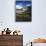 Wildflower meadows below Mt. Timpanogos, Uinta-Wasatch-Cache National Forest, Utah, USA-Charles Gurche-Mounted Photographic Print displayed on a wall