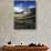 Wildflower meadows below Mt. Timpanogos, Uinta-Wasatch-Cache National Forest, Utah, USA-Charles Gurche-Photographic Print displayed on a wall