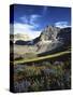 Wildflower meadows below Mt. Timpanogos, Uinta-Wasatch-Cache National Forest, Utah, USA-Charles Gurche-Stretched Canvas