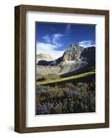 Wildflower meadows below Mt. Timpanogos, Uinta-Wasatch-Cache National Forest, Utah, USA-Charles Gurche-Framed Photographic Print