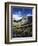 Wildflower meadows below Mt. Timpanogos, Uinta-Wasatch-Cache National Forest, Utah, USA-Charles Gurche-Framed Photographic Print