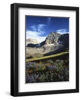 Wildflower meadows below Mt. Timpanogos, Uinta-Wasatch-Cache National Forest, Utah, USA-Charles Gurche-Framed Photographic Print