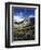 Wildflower meadows below Mt. Timpanogos, Uinta-Wasatch-Cache National Forest, Utah, USA-Charles Gurche-Framed Photographic Print