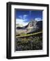 Wildflower meadows below Mt. Timpanogos, Uinta-Wasatch-Cache National Forest, Utah, USA-Charles Gurche-Framed Photographic Print