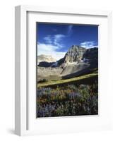 Wildflower meadows below Mt. Timpanogos, Uinta-Wasatch-Cache National Forest, Utah, USA-Charles Gurche-Framed Photographic Print