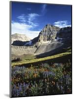 Wildflower meadows below Mt. Timpanogos, Uinta-Wasatch-Cache National Forest, Utah, USA-Charles Gurche-Mounted Photographic Print
