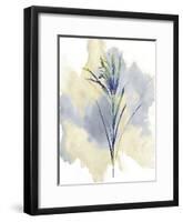 Wildflower Melody-Tania Bello-Framed Giclee Print