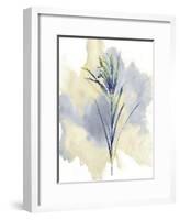 Wildflower Melody-Tania Bello-Framed Giclee Print