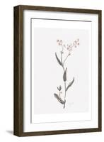 Wildflower Organics I-Beverly Dyer-Framed Art Print