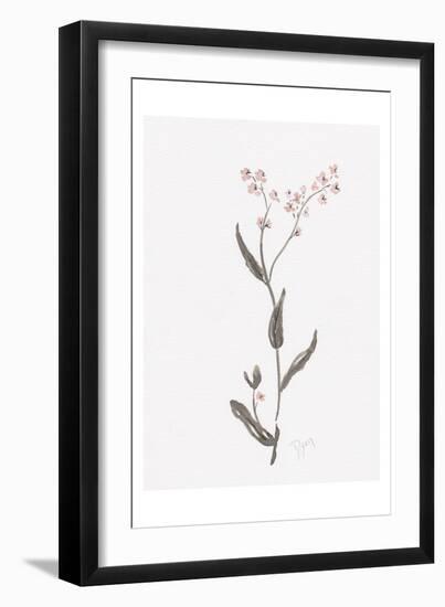 Wildflower Organics I-Beverly Dyer-Framed Art Print