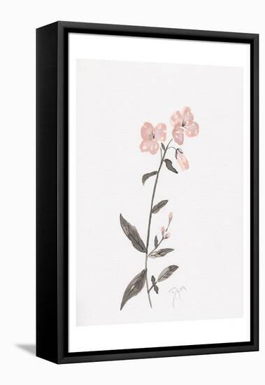 Wildflower Organics II-Beverly Dyer-Framed Stretched Canvas