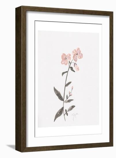 Wildflower Organics II-Beverly Dyer-Framed Art Print