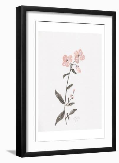 Wildflower Organics II-Beverly Dyer-Framed Art Print