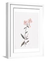Wildflower Organics II-Beverly Dyer-Framed Art Print