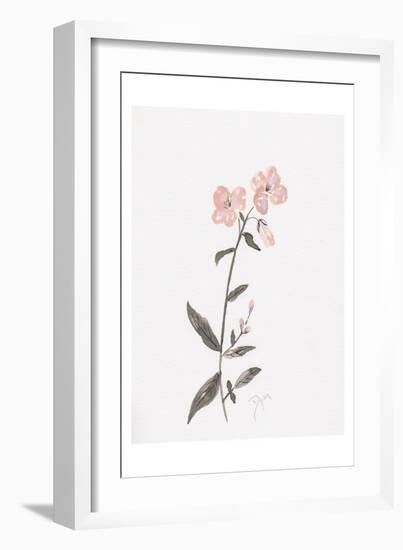 Wildflower Organics II-Beverly Dyer-Framed Art Print