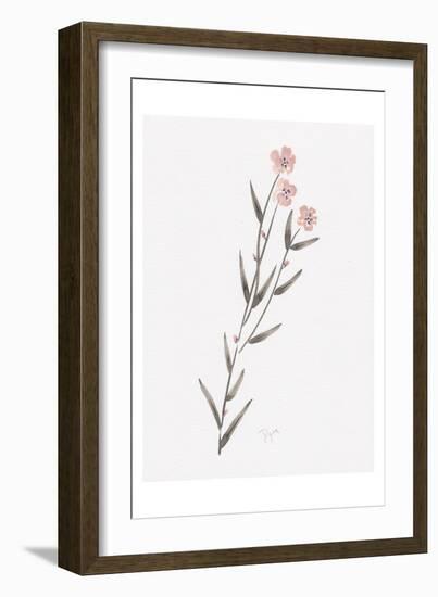 Wildflower Organics III-Beverly Dyer-Framed Art Print