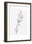 Wildflower Organics III-Beverly Dyer-Framed Art Print