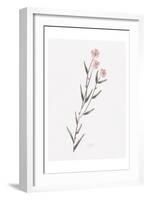 Wildflower Organics III-Beverly Dyer-Framed Art Print