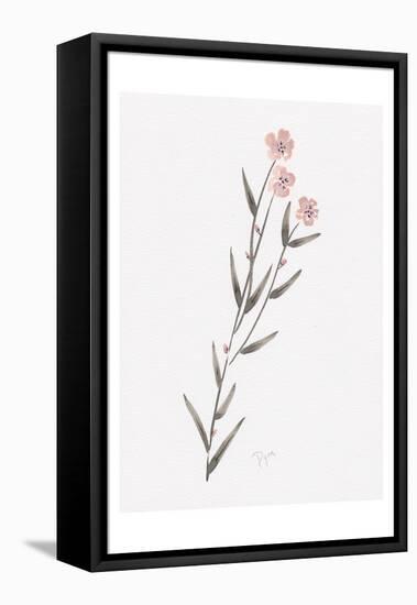 Wildflower Organics III-Beverly Dyer-Framed Stretched Canvas