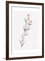 Wildflower Organics III-Beverly Dyer-Framed Art Print