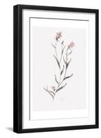 Wildflower Organics IV-Beverly Dyer-Framed Art Print