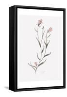 Wildflower Organics IV-Beverly Dyer-Framed Stretched Canvas