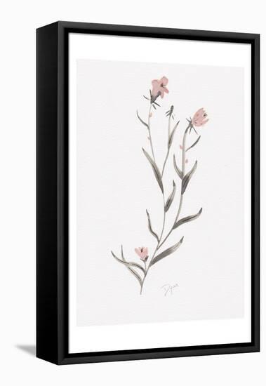 Wildflower Organics IV-Beverly Dyer-Framed Stretched Canvas