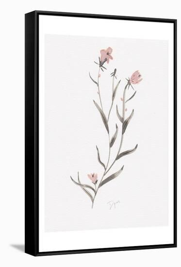 Wildflower Organics IV-Beverly Dyer-Framed Stretched Canvas