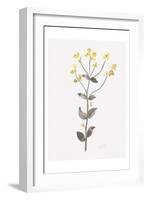 Wildflower Organics V-Beverly Dyer-Framed Art Print