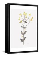 Wildflower Organics V-Beverly Dyer-Framed Stretched Canvas