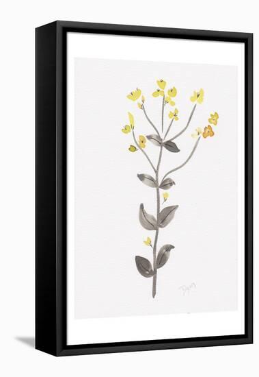 Wildflower Organics V-Beverly Dyer-Framed Stretched Canvas