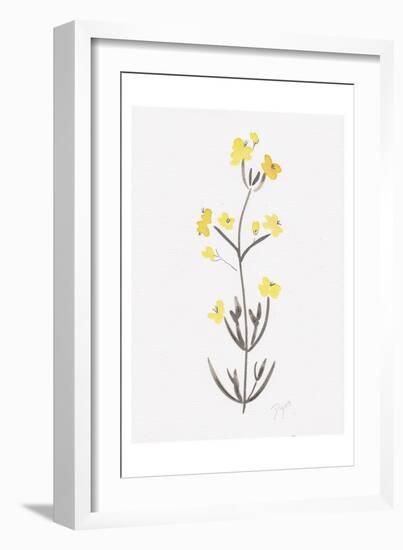 Wildflower Organics VI-Beverly Dyer-Framed Art Print